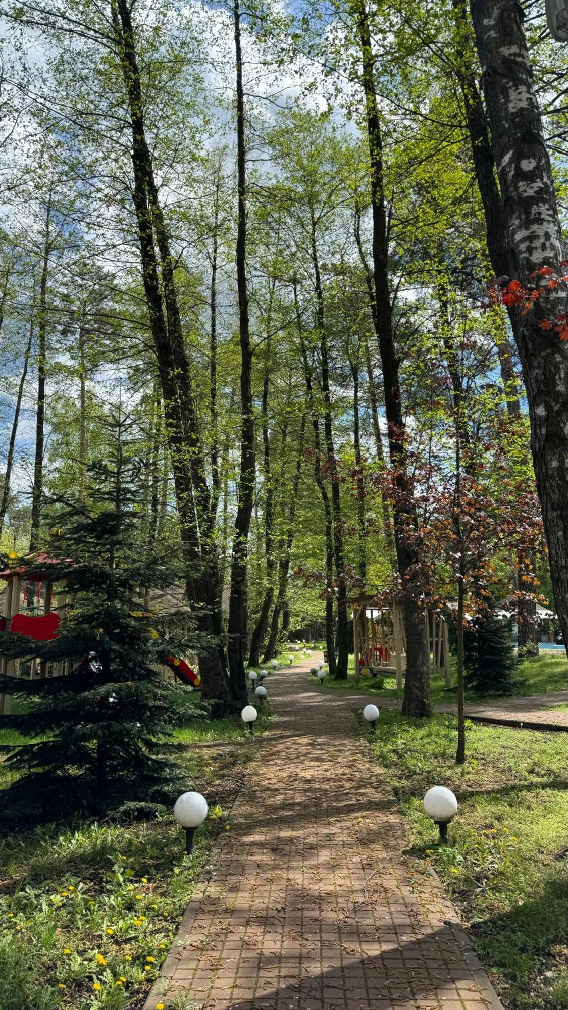 Tysha Forest Club Romankiv Eksteriør bilde